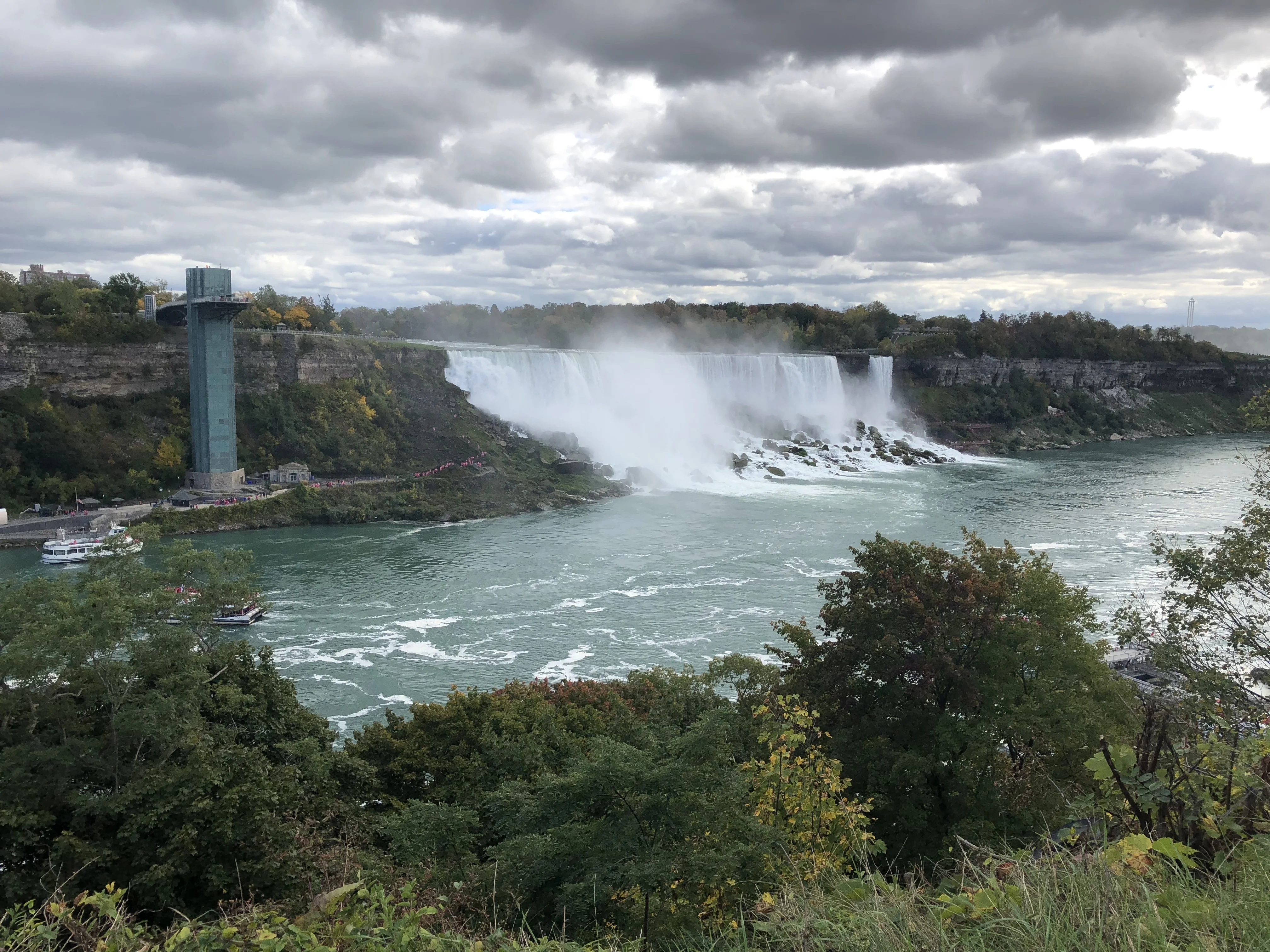 Tyler - Content Creator